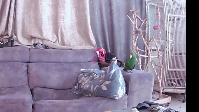 Snapshot of Alexis21821 chatting on 13, 11, 2025 Alexis21821 online show from 13, 11, 2025