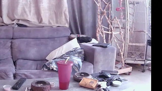 Snapshot of Alexis21821 chatting on 14, 11, 2025 Alexis21821 online show from 14, 11, 2025