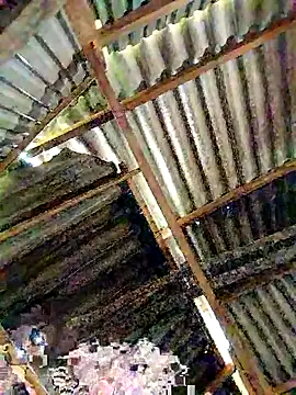 Snapshot of lyuyenkk chatting on 3, 11, 2025 lyuyenkk online show from 3, 11, 2025