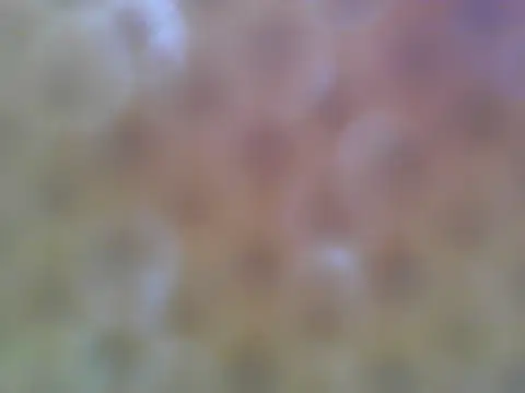 asian bhebs1 online show from 21, 9, 2025