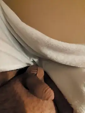 verjaya online show from 15, 11, 2025