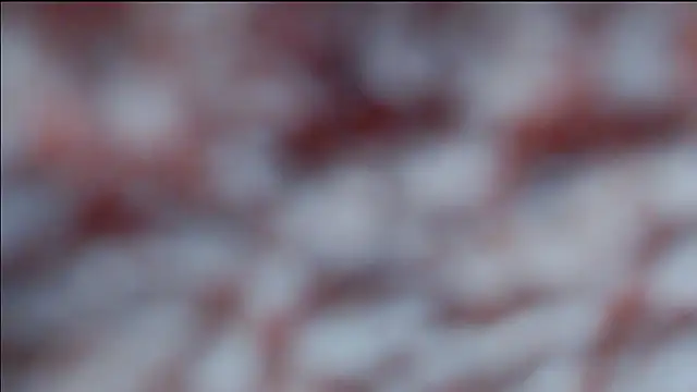 hsua0098 online show from 16, 4, 2026