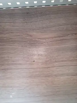 ValeriaLove43211 online show from 6, 4, 2026