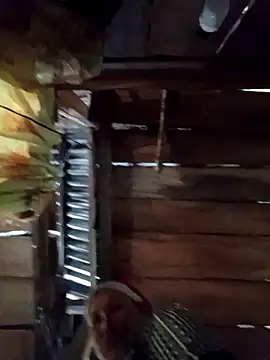 callistra online show from 9, 4, 2026