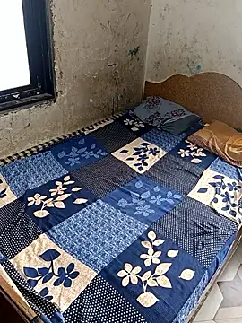 ipvk online show from 18, 2, 2026