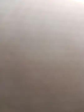 ipvk online show from 28, 3, 2026