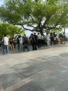 leeyoung  online show from 10, 4, 2026