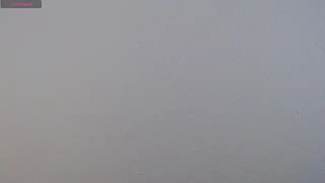 Camila Torresss online show from 1, 12, 2025