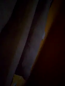 Sumitx007 online show from 2, 10, 2025