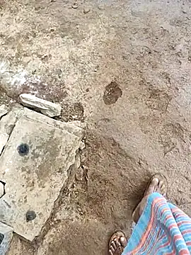 telugumodda4396 online show from 27, 10, 2025