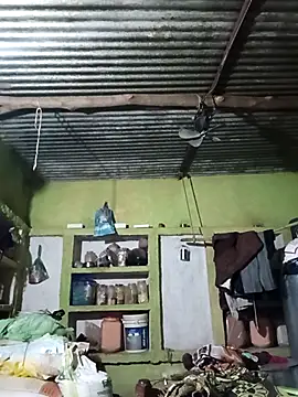 Haliya88 online show from 6, 10, 2025