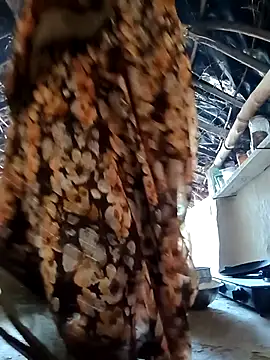 Haliya88 online show from 14, 10, 2025