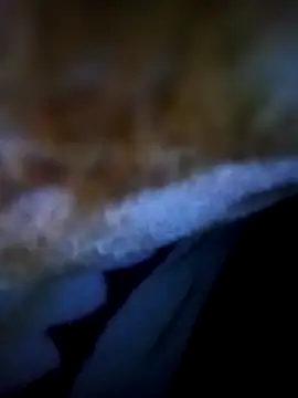 Snapshot of alone_boy802 chatting on 5, 11, 2025 alone boy802 online show from 5, 11, 2025