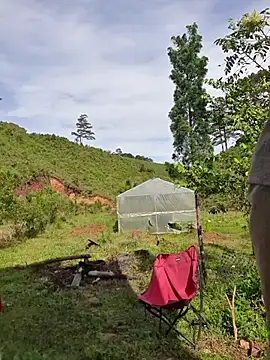 Snapshot of Helen-Tran chatting on 24, 10, 2025 Helen-Tran online show from 24, 10, 2025