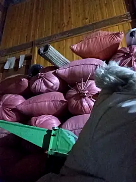 vtmbae online show from 19, 1, 2026