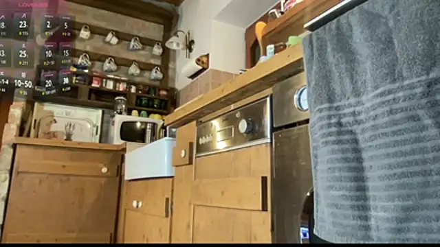 Snapshot of vani_vibez chatting on 23, 11, 2025 vani vibez online show from 23, 11, 2025