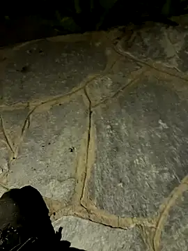 Snapshot of gptre chatting on 30, 9, 2025 gptre online show from 30, 9, 2025