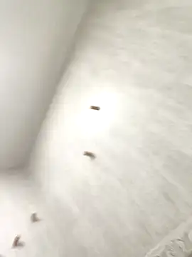 Snapshot of sebas_sexo_goloso chatting on 13, 11, 2025 sebas sexo goloso online show from 13, 11, 2025