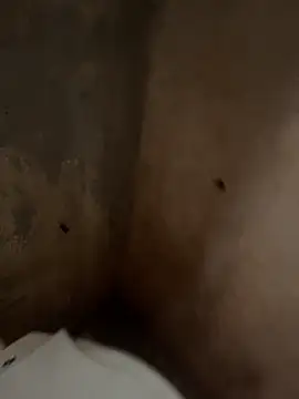 favelado33 online show from 26, 9, 2025