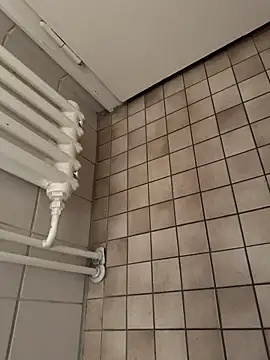 Snapshot of Penisbrutaldick chatting on 2, 3, 2025 Penisbrutaldick online show from 2, 3, 2025