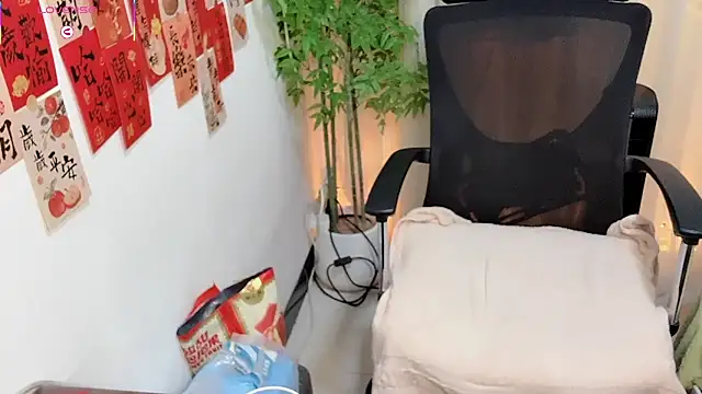 NEWONETO online show from 8, 3, 2026