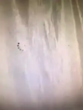 amasha200 online show from 9, 3, 2026