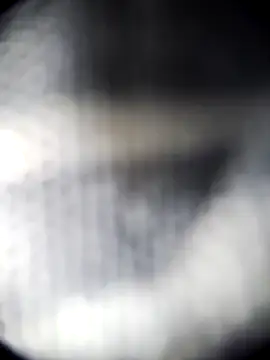 Snapshot of Blanquitakchera chatting on 21, 12, 2025 Blanquitakchera online show from 21, 12, 2025