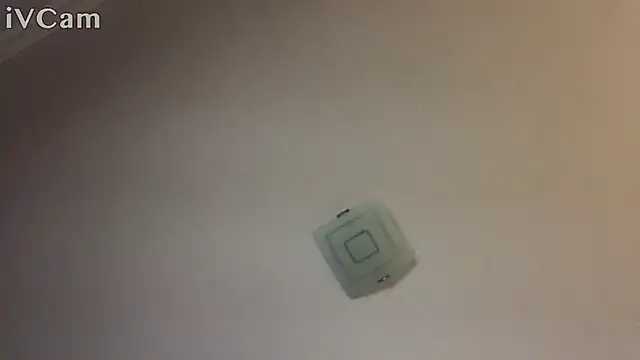 XxvanxX online show from 14, 11, 2025