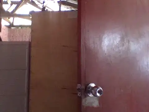 milagrose rose online show from 21, 11, 2025