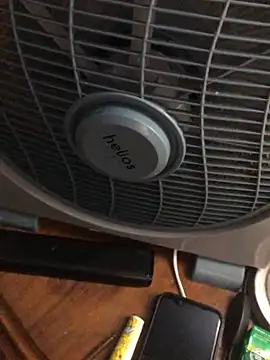 -bunny06 online show from 2, 10, 2025