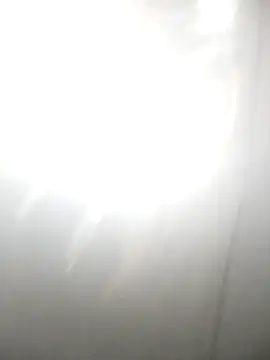 PEEHU-50 online show from 18, 2, 2026