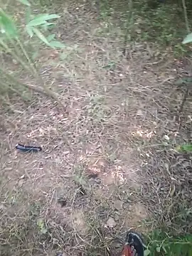 Aadityaaa07 online show from 11, 11, 2025