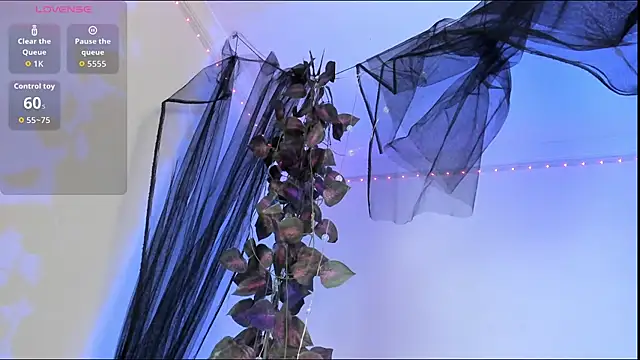 Shinny Crystal online show from 22, 10, 2025