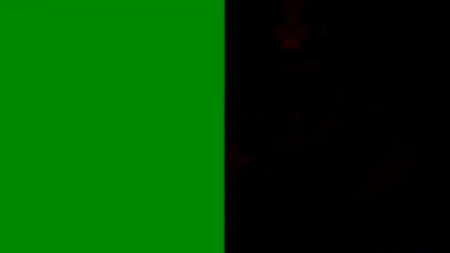 wsteel66 online show from 10, 10, 2025