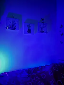 Solaangel  online show from 17, 12, 2025