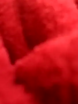 ProXydelhi online show from 7, 2, 2026