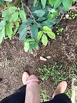 Sikici0734 online show from 26, 2, 2026