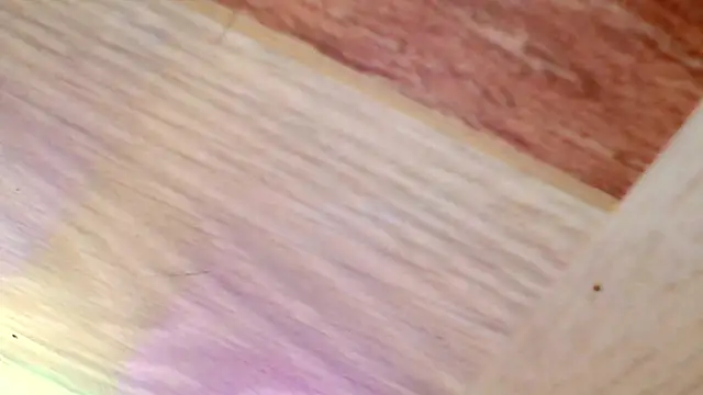 Snapshot of shannon_kinne_ chatting on 31, 3, 2026 shannon kinne online show from 31, 3, 2026