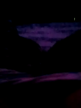 veintitres23 online show from 11, 11, 2025