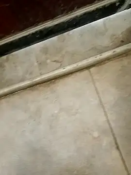 pn12345 online show from 18, 12, 2025