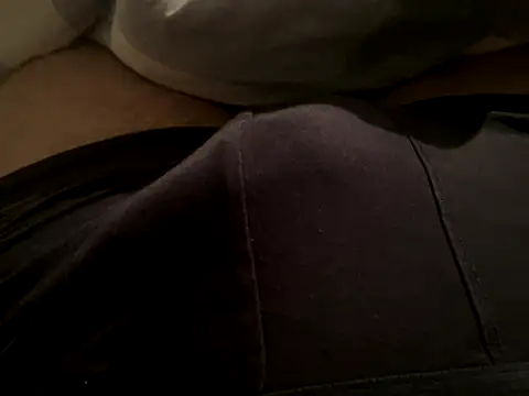 Snapshot of VtoV0 chatting on 11, 10, 2025 VtoV0 online show from 11, 10, 2025