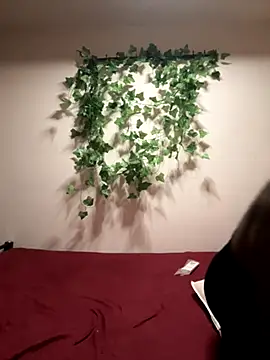 Chennai Fire online show from 23, 11, 2025