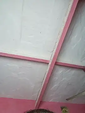 Ut kanchna online show from 15, 11, 2025