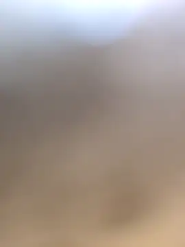 Co punam online show from 2, 2, 2026