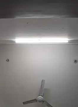 Anchal-8798 online show from 8, 11, 2025