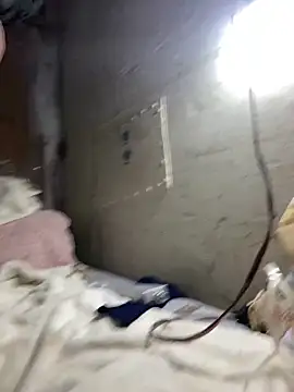 Nectarioteins online show from 4, 2, 2026