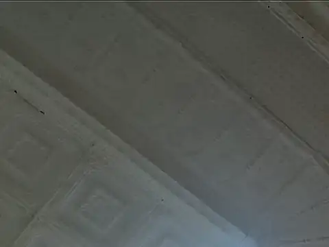 Snapshot of EsotericPaloma chatting on 24, 10, 2025 EsotericPaloma online show from 24, 10, 2025