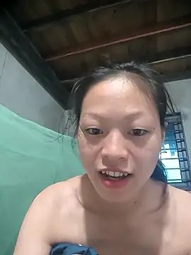 Zerin nova online show from 3, 11, 2025