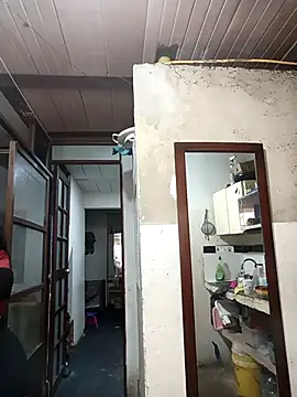 deseox05 online show from 19, 11, 2025