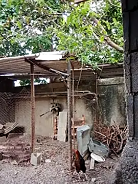 blackhot30 online show from 1, 12, 2025